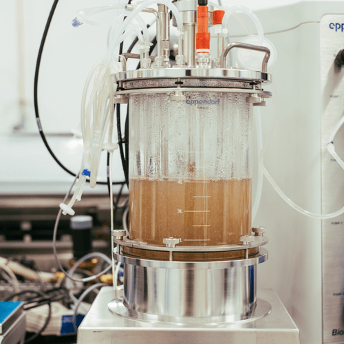 Small reactor to produce plant cell culture