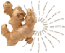 Ginseng