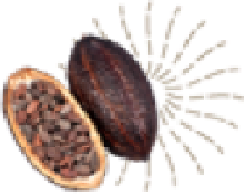 cacao pod