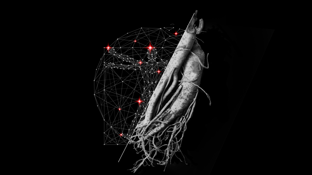 Ginseng supports human health